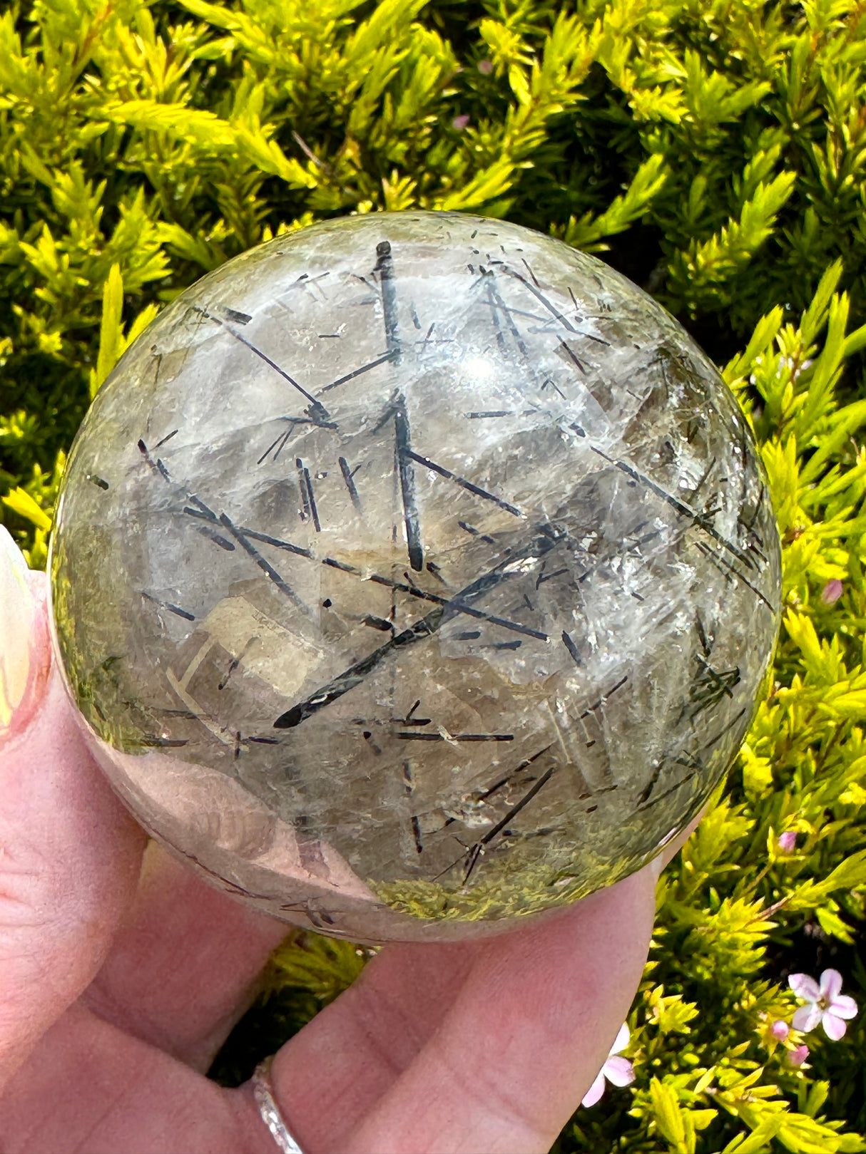 Black Tourmaline in Quartz Sphere 321g- Protection