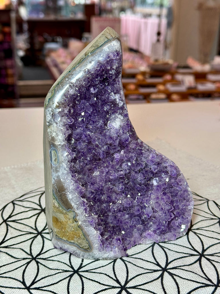 Amethyst Cluster 1280g #32 -  “I trust my intuition and allow it to guide me each day”