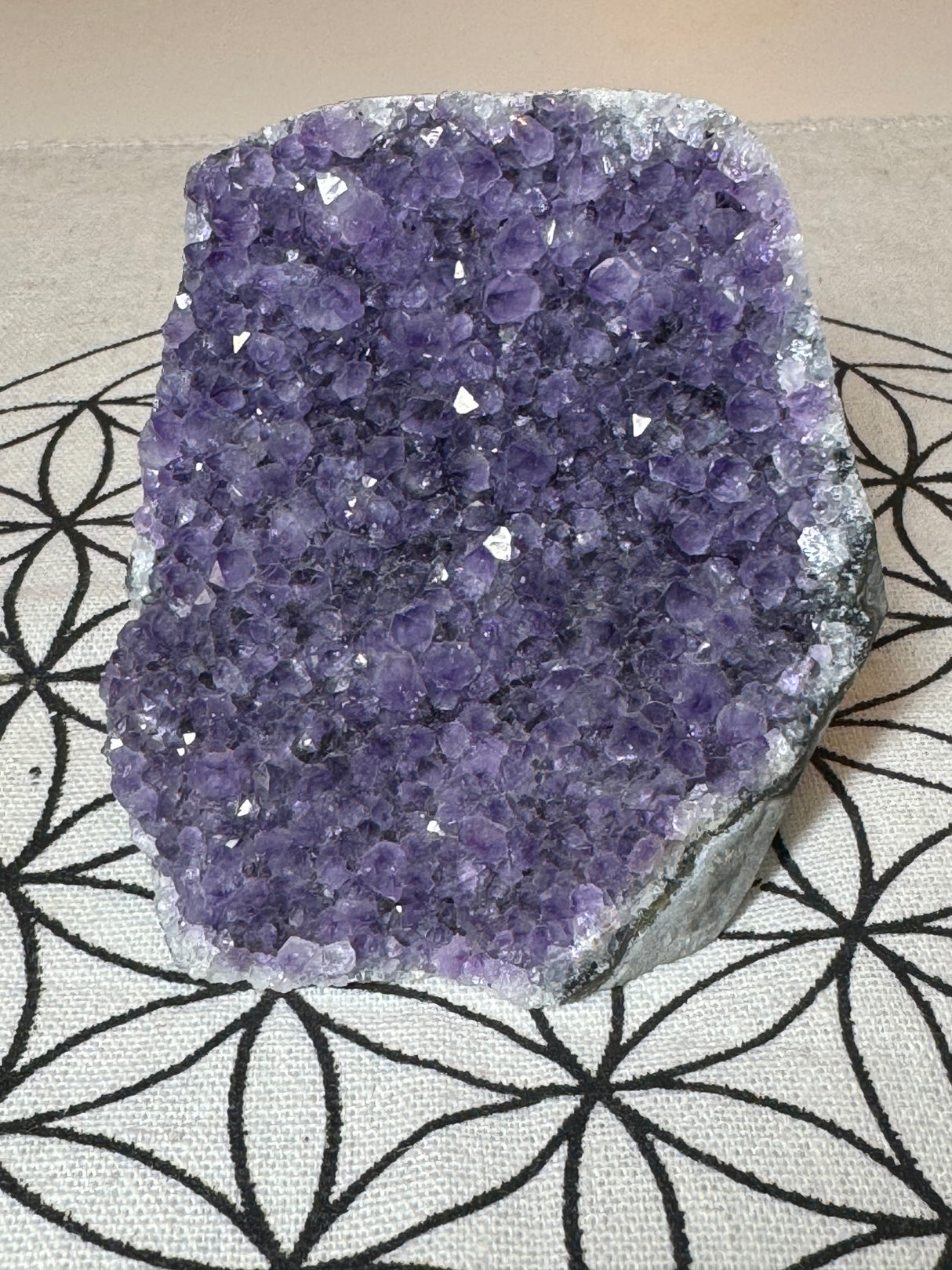 Amethyst Cluster 4107g #38 -  “I trust my intuition and allow it to guide me each day”