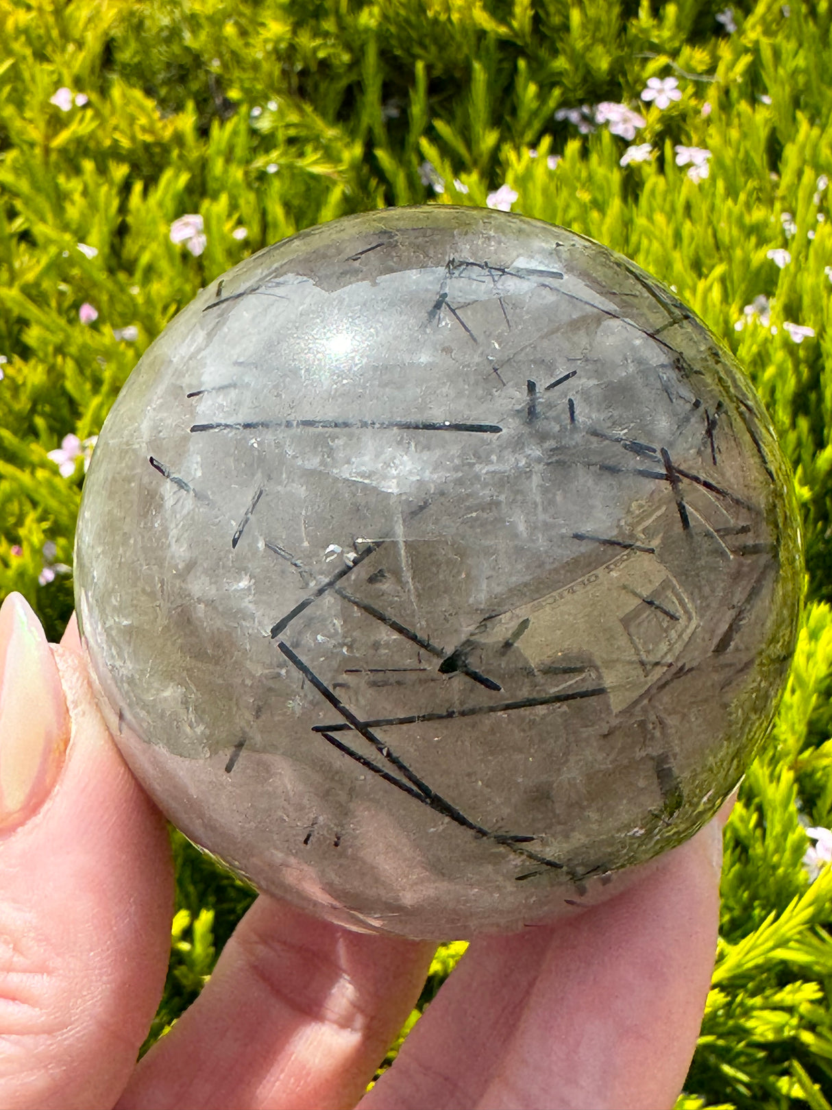 Black Tourmaline in Quartz Sphere 321g- Protection