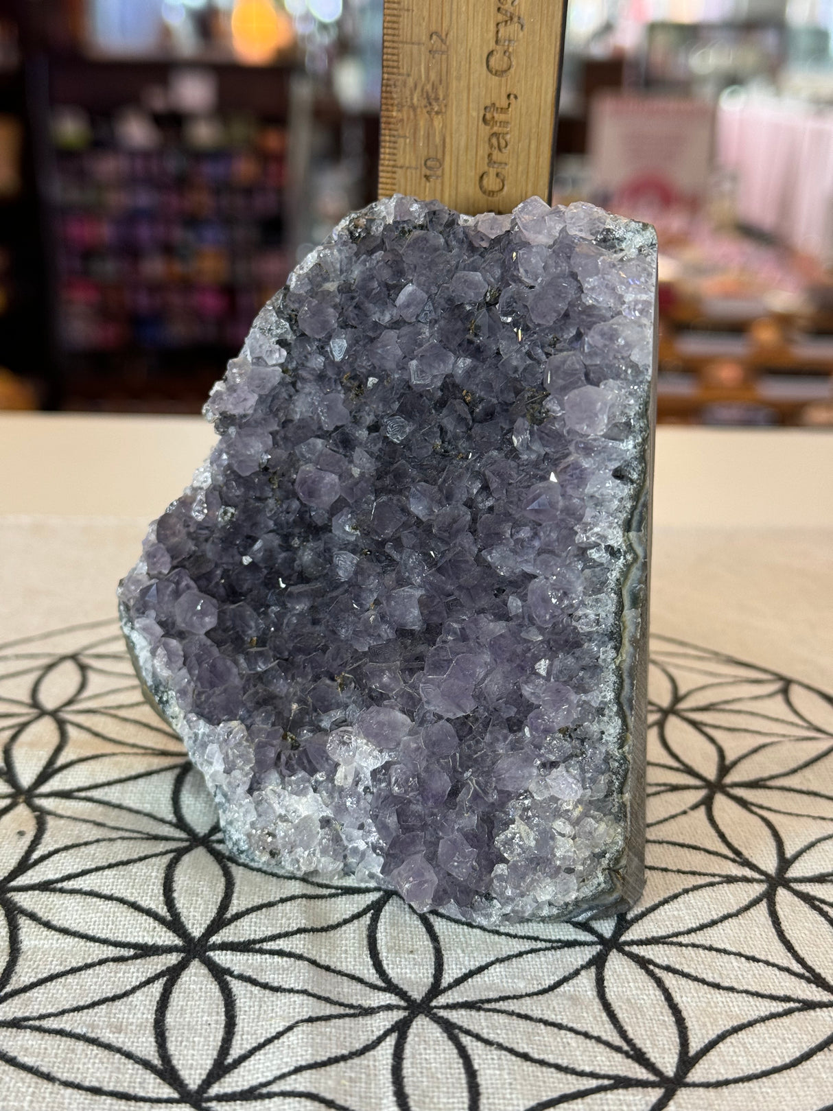 Amethyst Cluster 829g #36 -  “I trust my intuition and allow it to guide me each day”