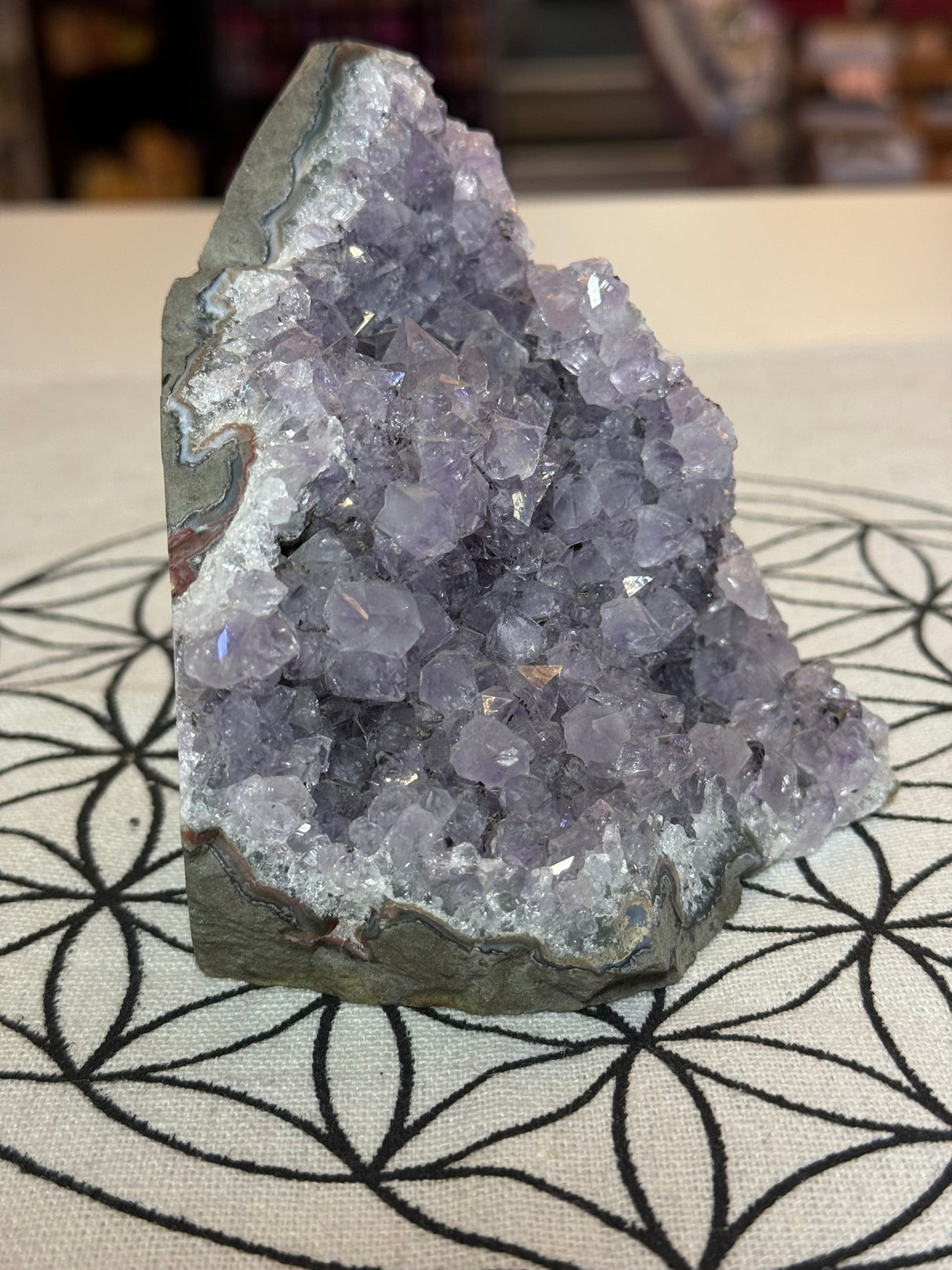 Amethyst Cluster 645g #37 -  “I trust my intuition and allow it to guide me each day”