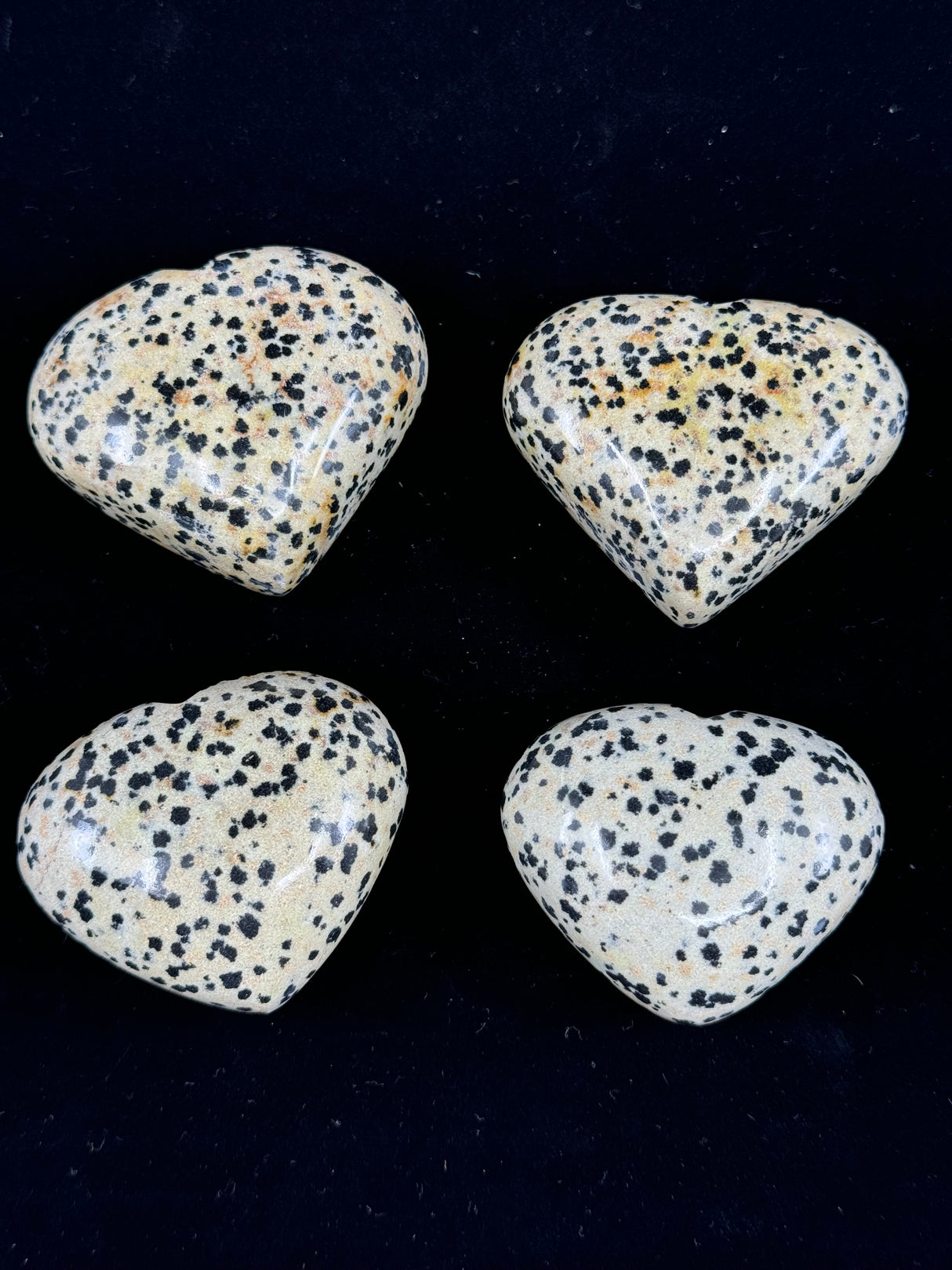 Dalmatian Jasper Heart - "I release all negative thoughts that are holding me back."