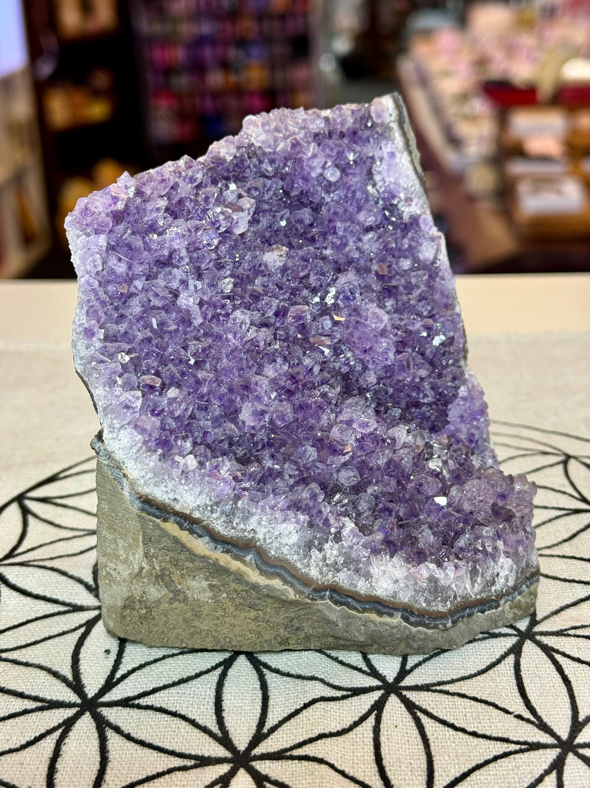 Amethyst Cluster 1065g #34 -  “I trust my intuition and allow it to guide me each day”