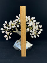 Rose Quartz Tree on Blue Agate and Sparkly Geode Base - Beautiful