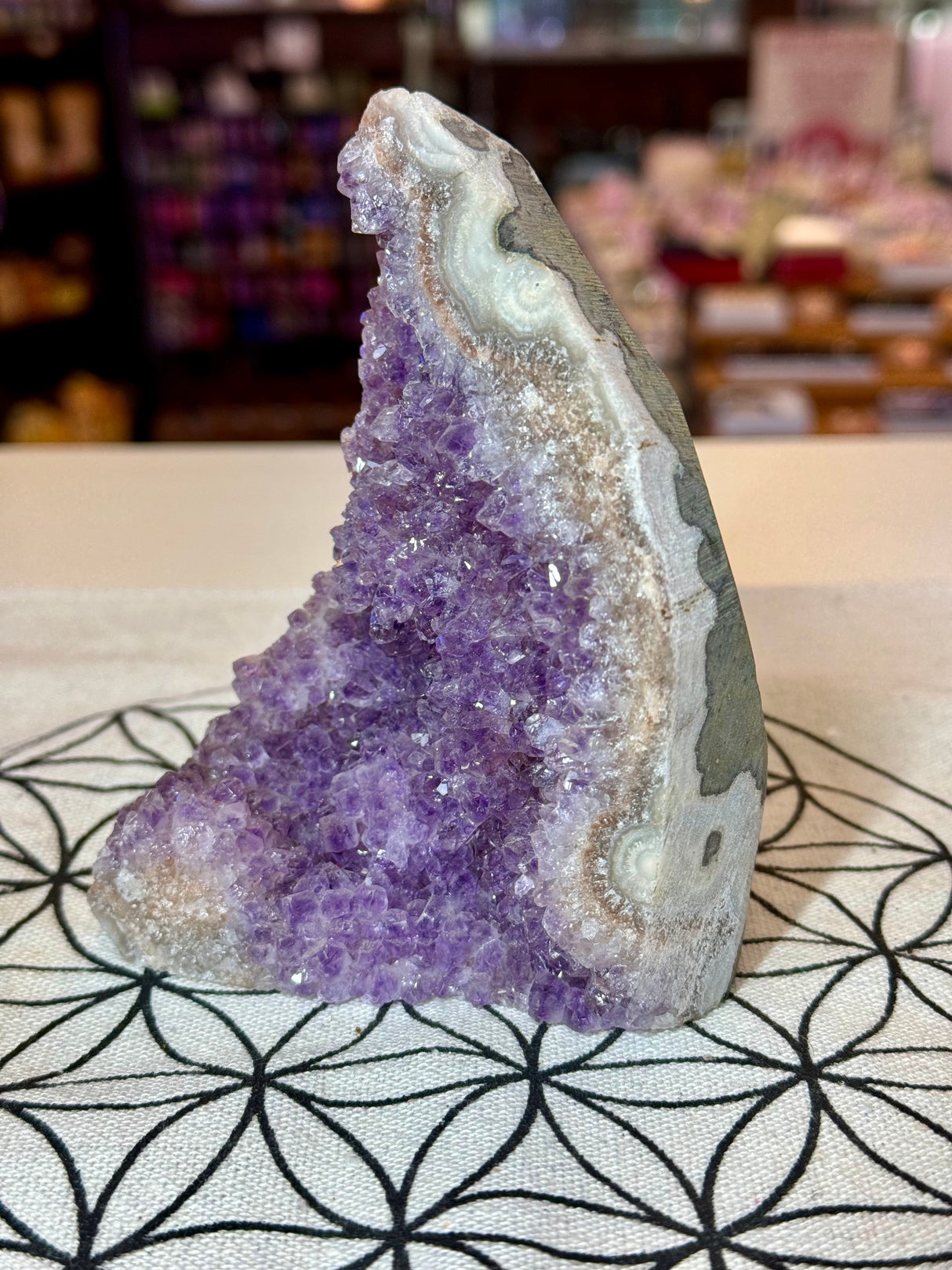 Amethyst Cluster 645g #40 -  “I trust my intuition and allow it to guide me each day”