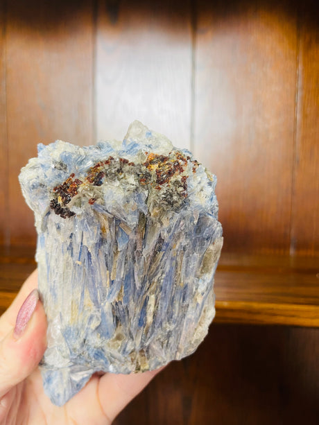 Blue Kyanite with Garnets 700g - "I am open to receiving Divine guidance from my spirit guides."