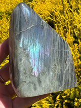 Labradorite Freeform - A Grade 524g - “I welcome change and transformation into my life”.