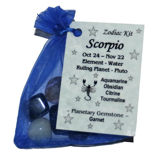 Scorpio Zodiac Pouch