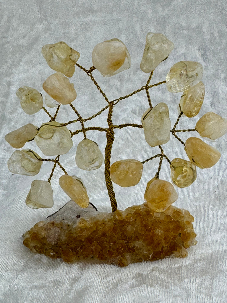 Citrine Tree #1 - “I am successful in all areas of life”.