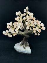 Rose Quartz Tree on Sparkly Amethyst Base - Beautiful