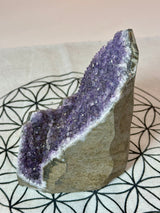 Amethyst Cluster 931g #31 -  “I trust my intuition and allow it to guide me each day”