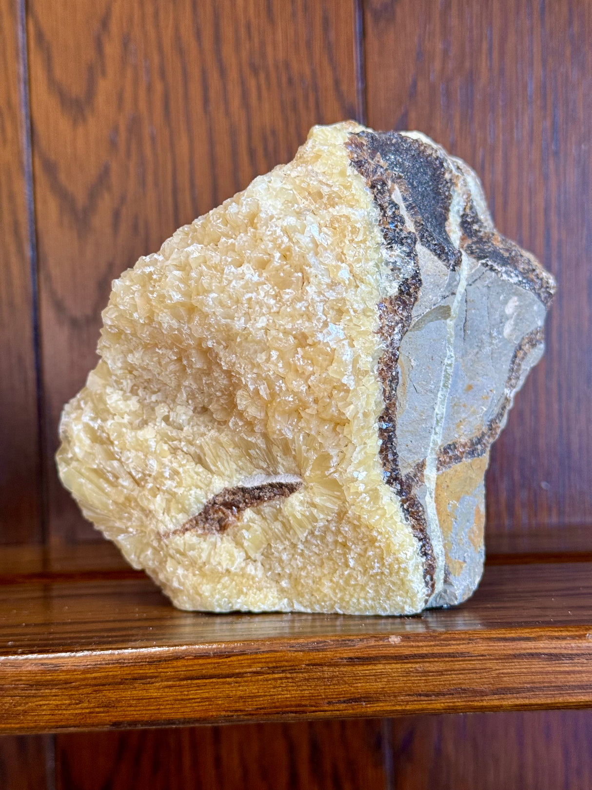 Septarian Nodule Rough 942gg - Dragon Stone  - Strength. Happiness.