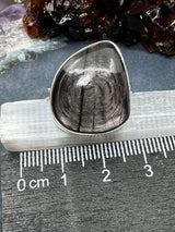 Hypersthene Silver Ring Size 10 #9 - Protection