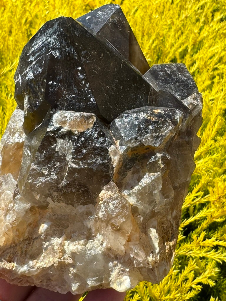 Smoky Quartz Cluster - “My spirit is deeply grounded in the present moment”.