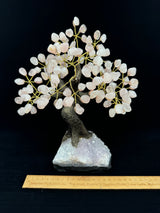 Rose Quartz Tree on Sparkly Amethyst Base - Beautiful