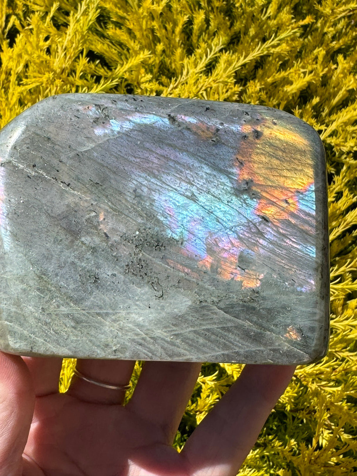 Labradorite Freeform  - A Grade 630g - “I welcome change and transformation into my life”.