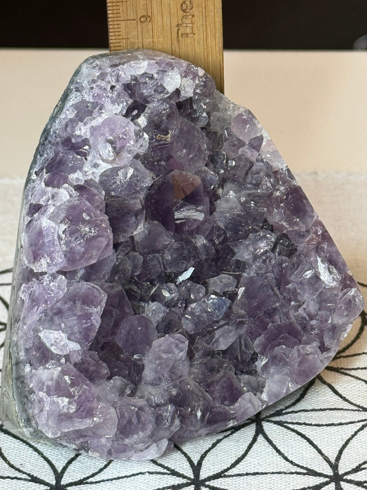 Amethyst Cluster 720g #42 -  “I trust my intuition and allow it to guide me each day”