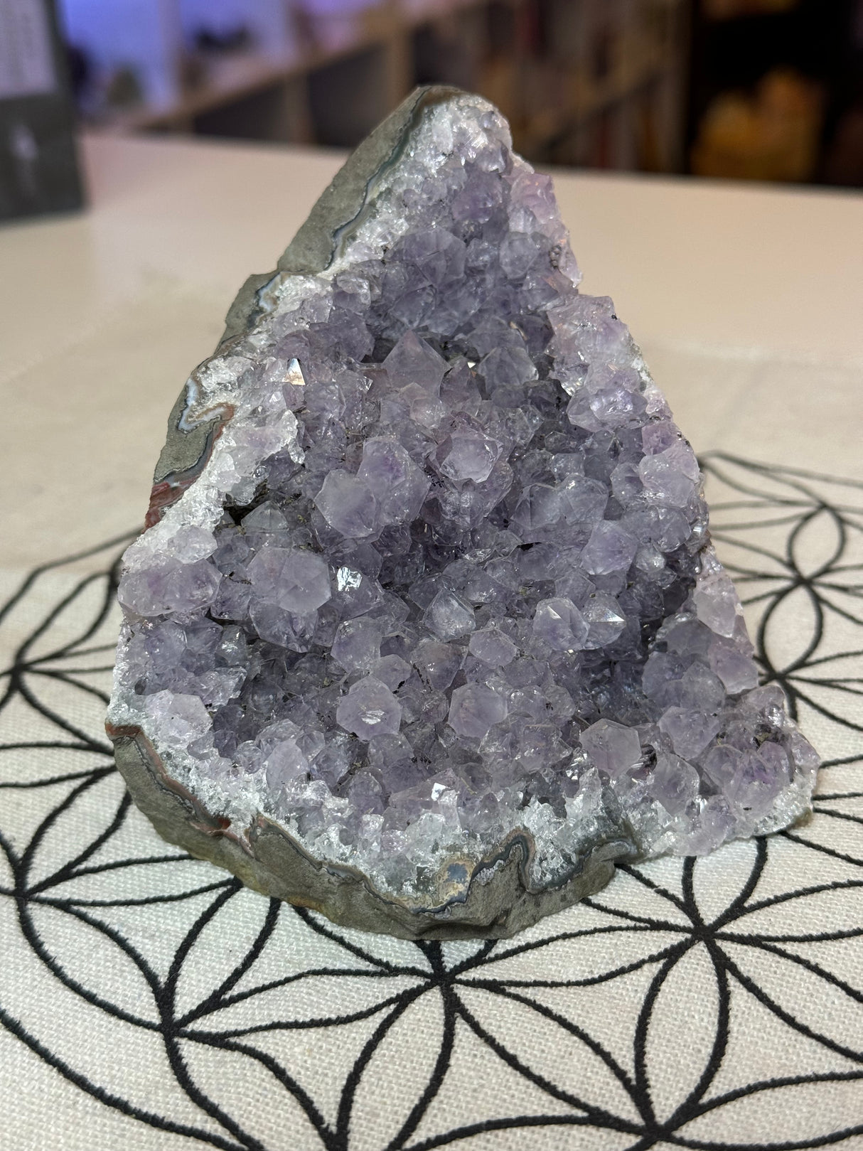 Amethyst Cluster 645g #37 -  “I trust my intuition and allow it to guide me each day”