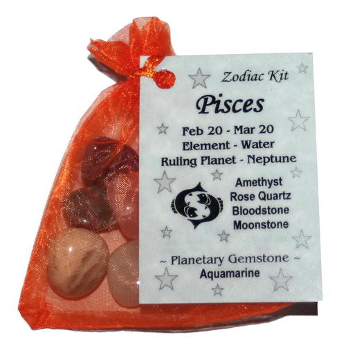 Pisces Zodiac Pouch