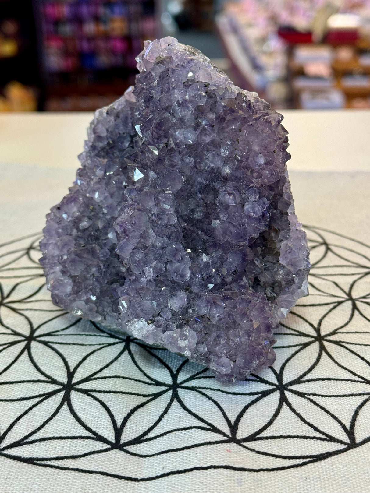 Amethyst Cluster 1.1kg #30 -  “I trust my intuition and allow it to guide me each day” (Copy) (Copy)