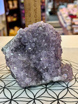 Amethyst Cluster 1.1kg #30 -  “I trust my intuition and allow it to guide me each day” (Copy) (Copy)