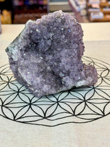 Amethyst Cluster 1.1kg #30 -  “I trust my intuition and allow it to guide me each day” (Copy) (Copy)