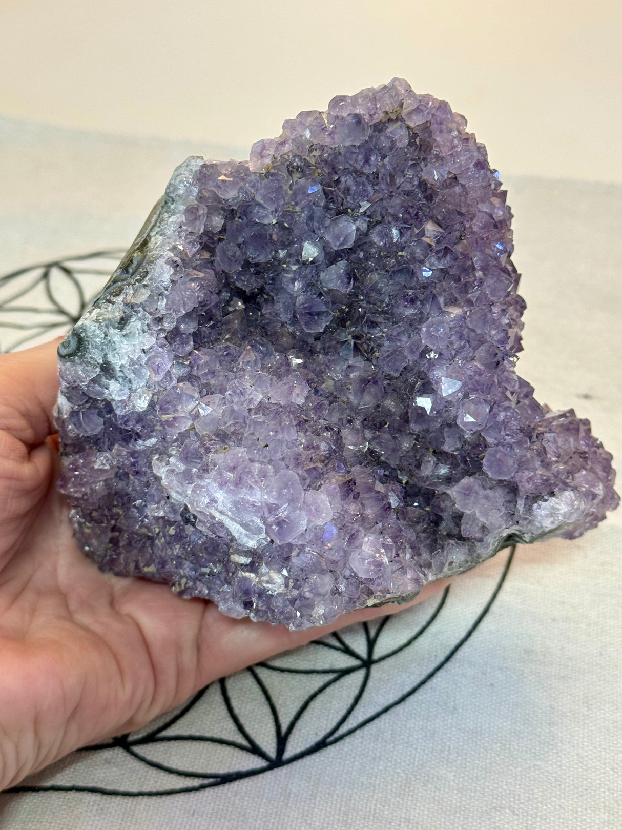 Amethyst Cluster 1.1kg #30 -  “I trust my intuition and allow it to guide me each day” (Copy) (Copy)