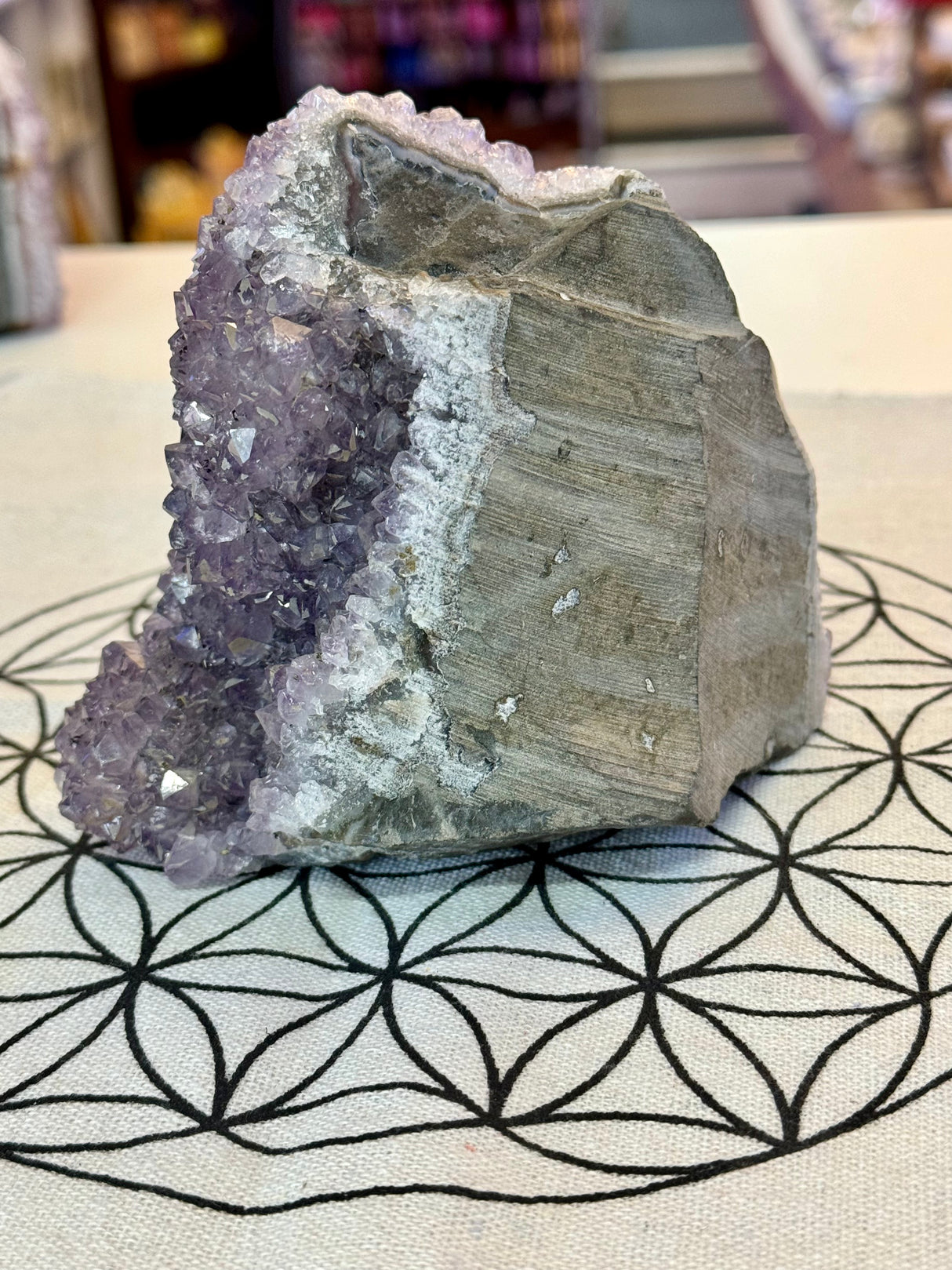 Amethyst Cluster 1.1kg #30 -  “I trust my intuition and allow it to guide me each day” (Copy) (Copy)