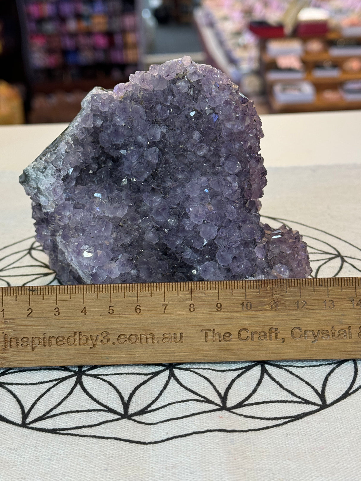 Amethyst Cluster 1.1kg #30 -  “I trust my intuition and allow it to guide me each day” (Copy) (Copy)