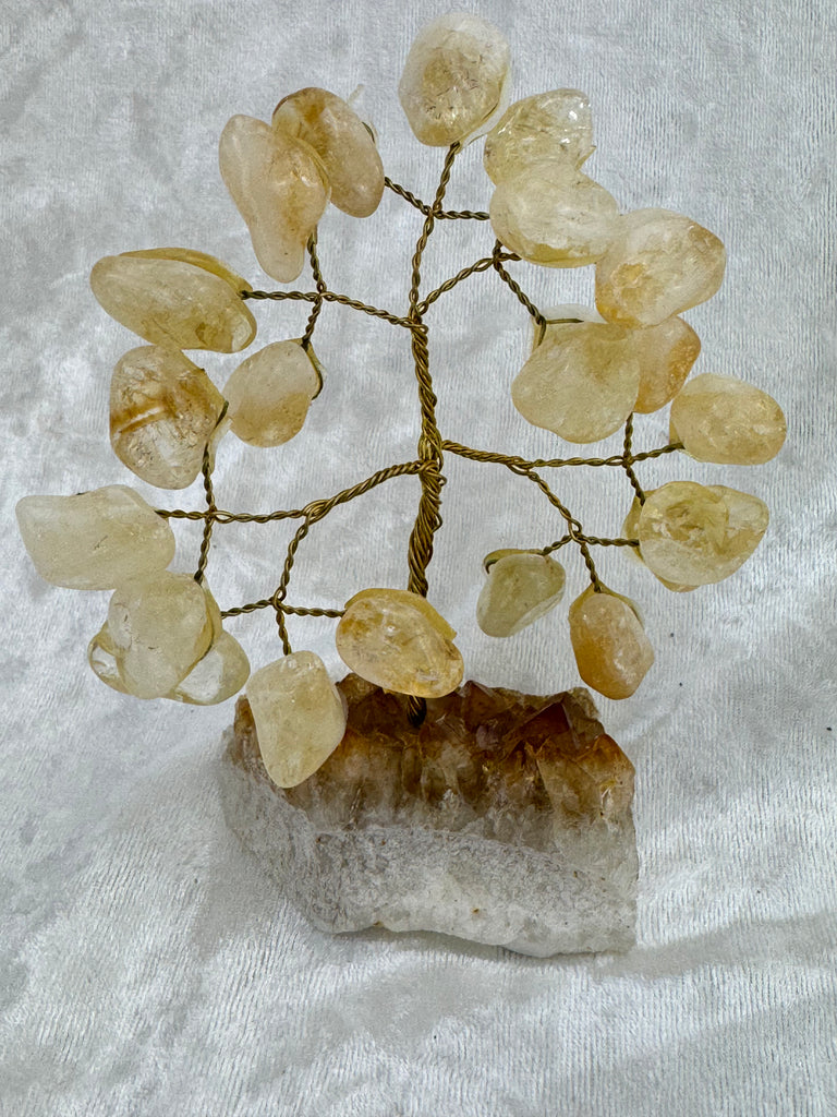 Citrine Tree #2 - “I am successful in all areas of life”.