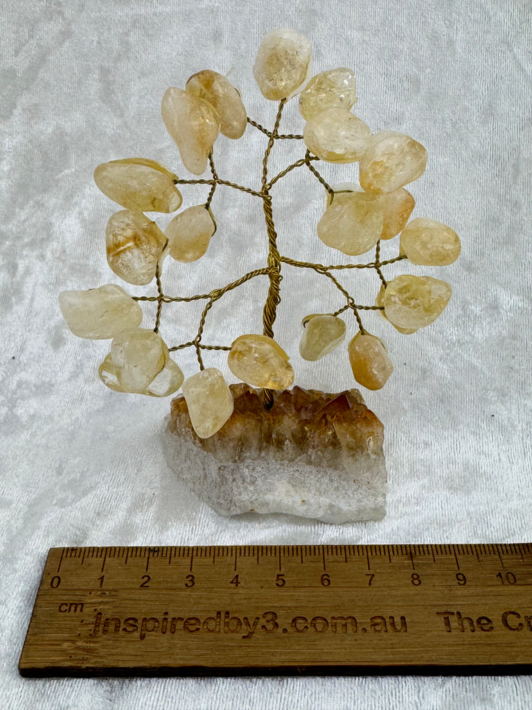 Citrine Tree #2 - “I am successful in all areas of life”.