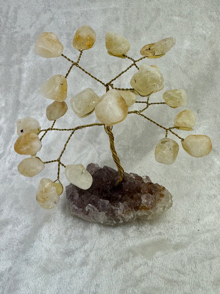 Citrine on Amethyst Base Tree #3 - “I am successful in all areas of life”.