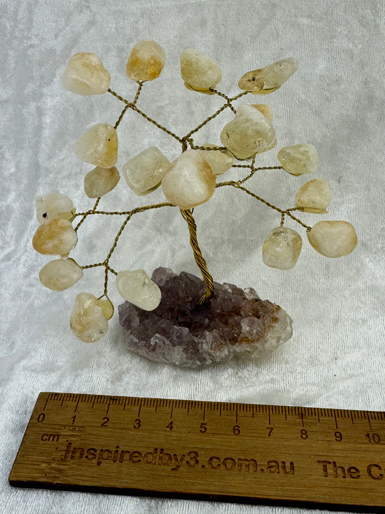 Citrine on Amethyst Base Tree #3 - “I am successful in all areas of life”.