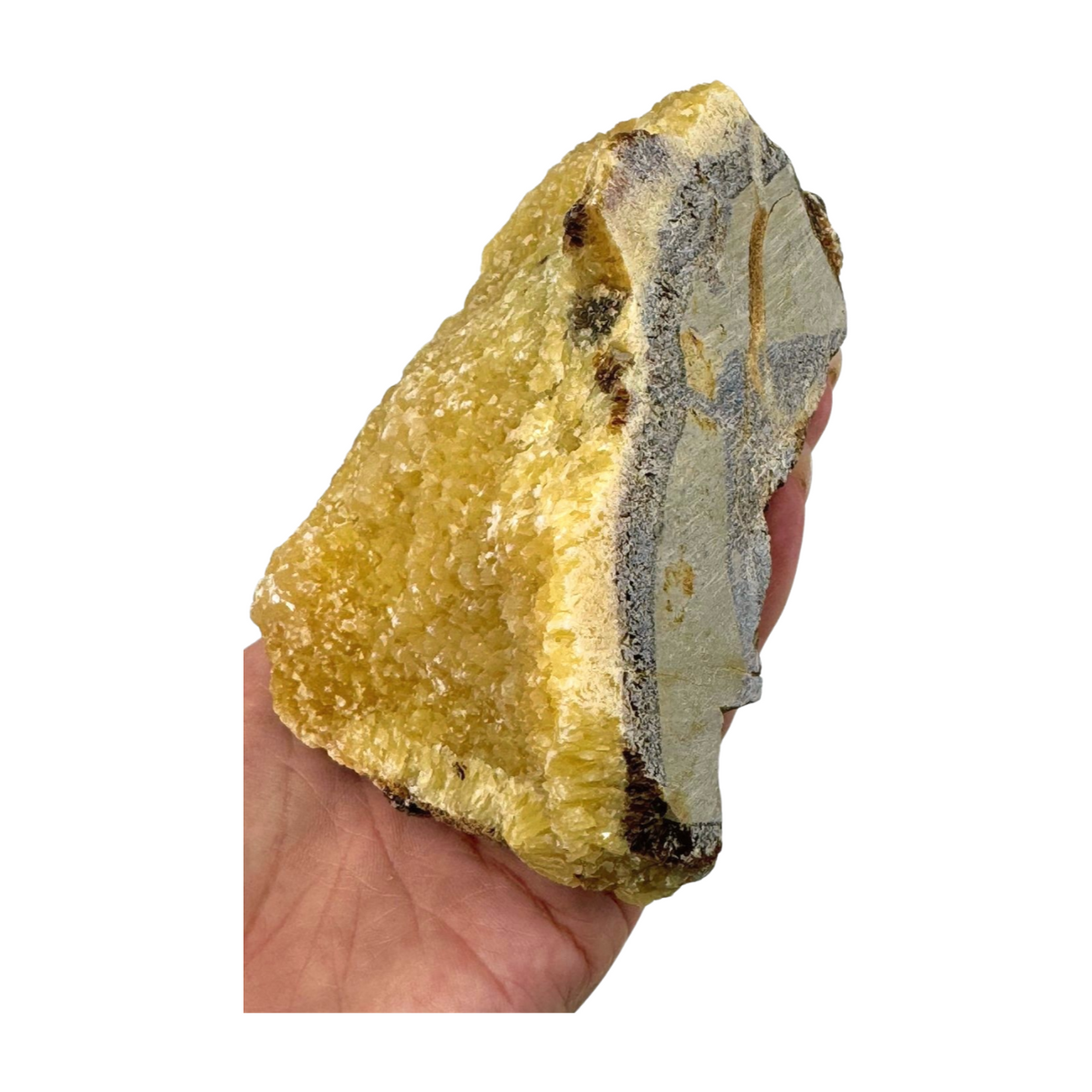 Septarian Nodule Rough 756g - Dragon Stone  - Strength. Happiness.