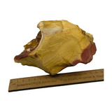 Mookaite Jasper Chunk 1.441 Kilos "I am calm and embrace change with an open mind."