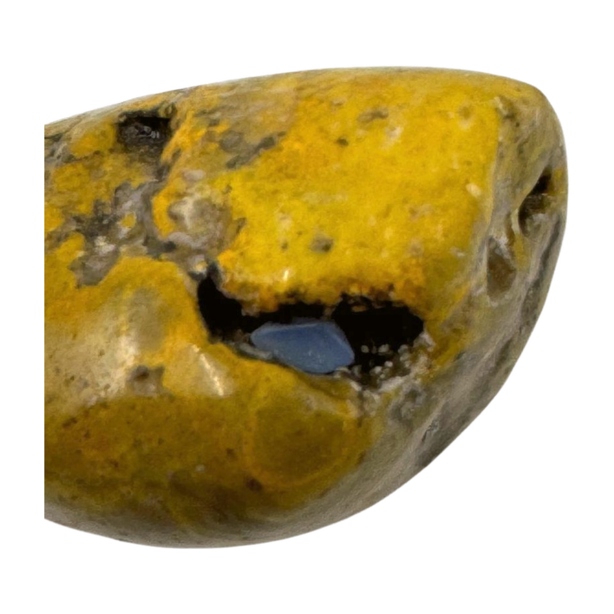 Bumble Bee Jasper Nugget -  "I am ready to manifest my greatest dreams and desires."