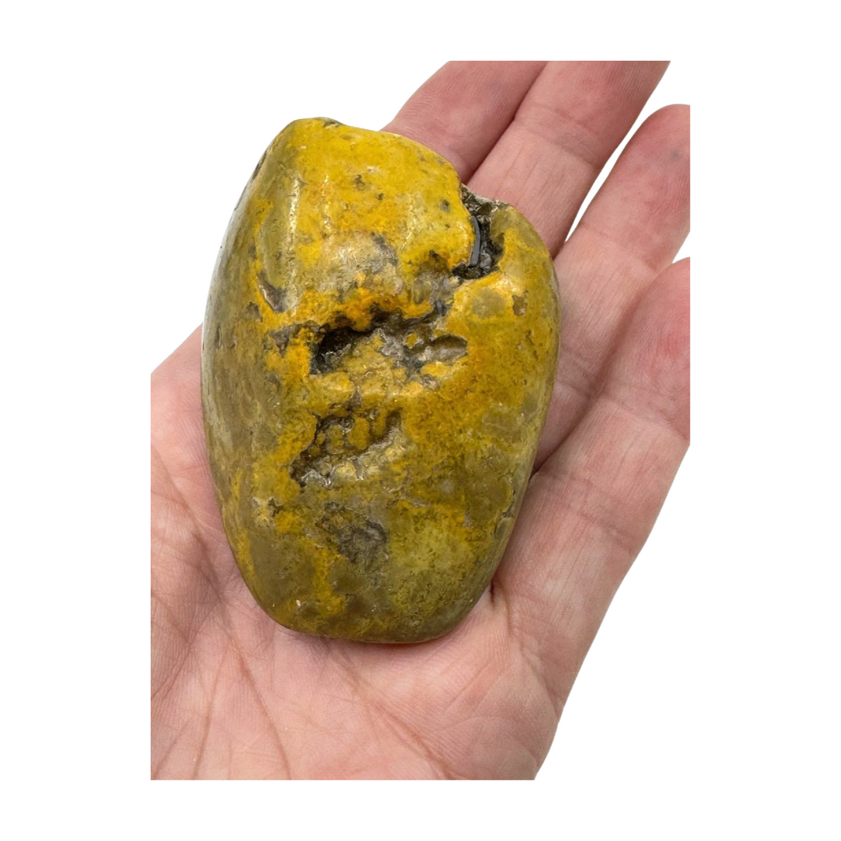 Bumble Bee Jasper Nugget -  "I am ready to manifest my greatest dreams and desires."