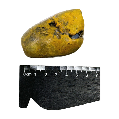 Bumble Bee Jasper Nugget -  "I am ready to manifest my greatest dreams and desires."