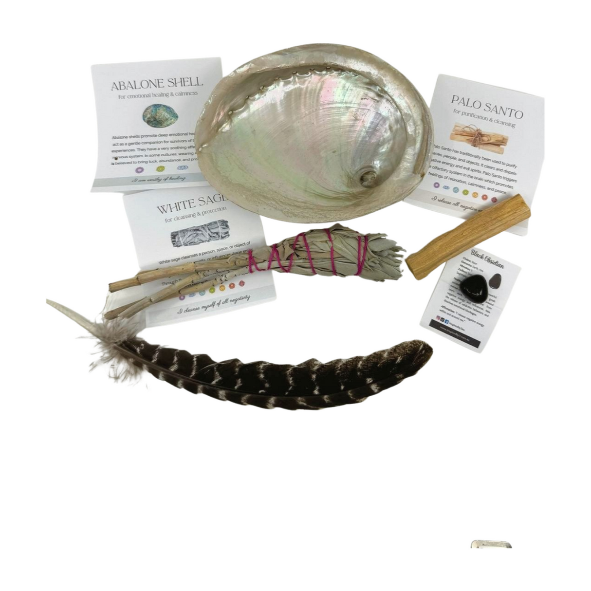 White Sage (Homegrown Sage) & Abalone Kit for Cleansing & Protection.