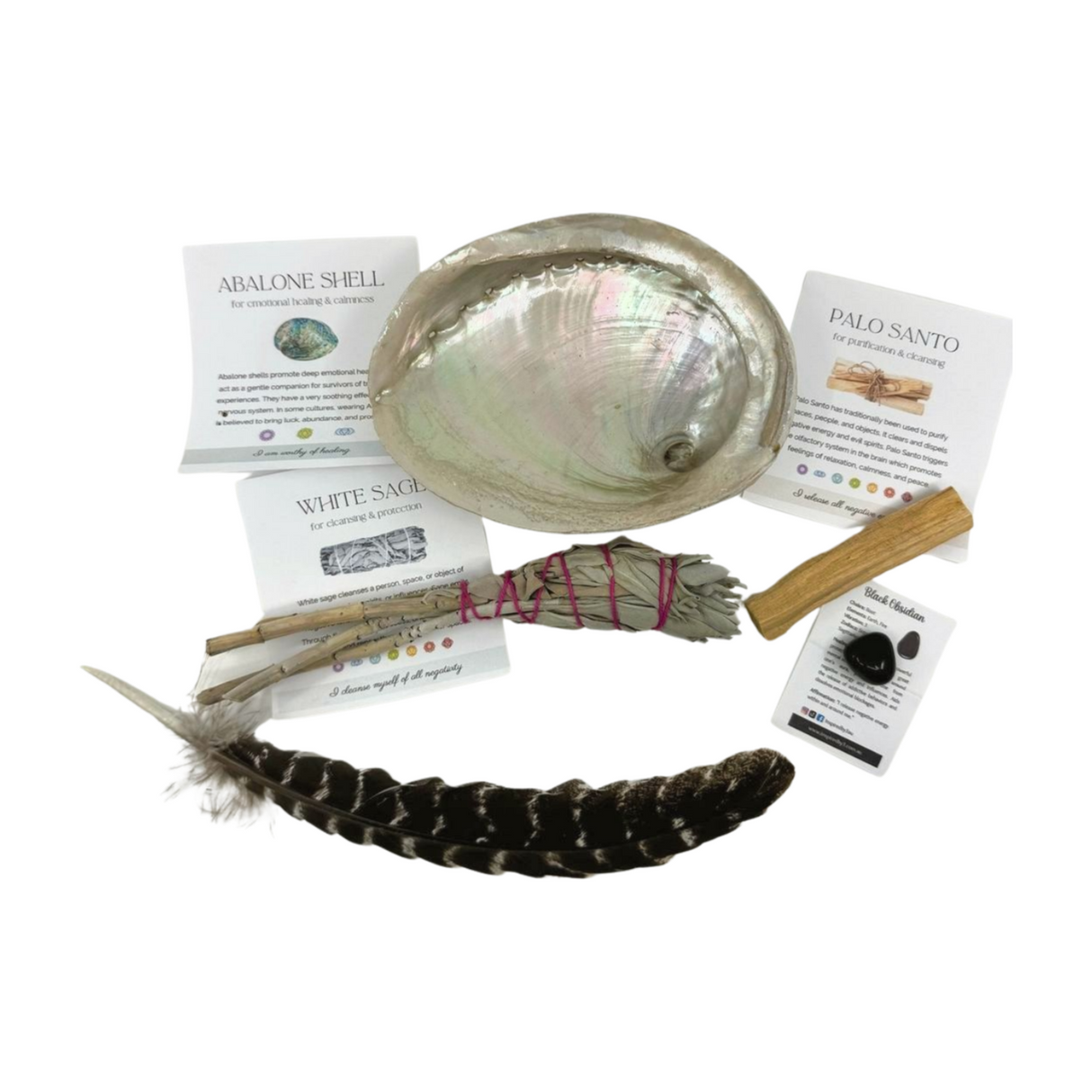 White Sage (Homegrown Sage) & Abalone Kit for Cleansing & Protection.