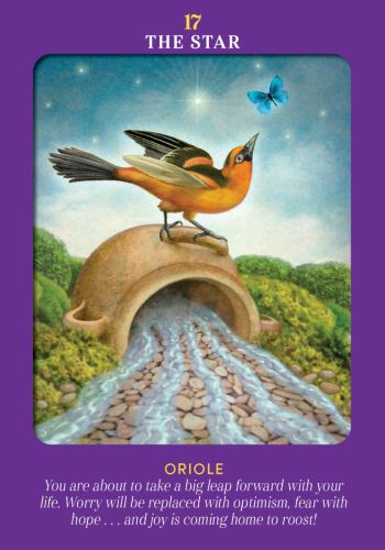 Animal Guides Tarot Cards -  Radleigh Valentine