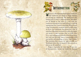 The Mushroom Spirit Oracle - Nicola McIntosh