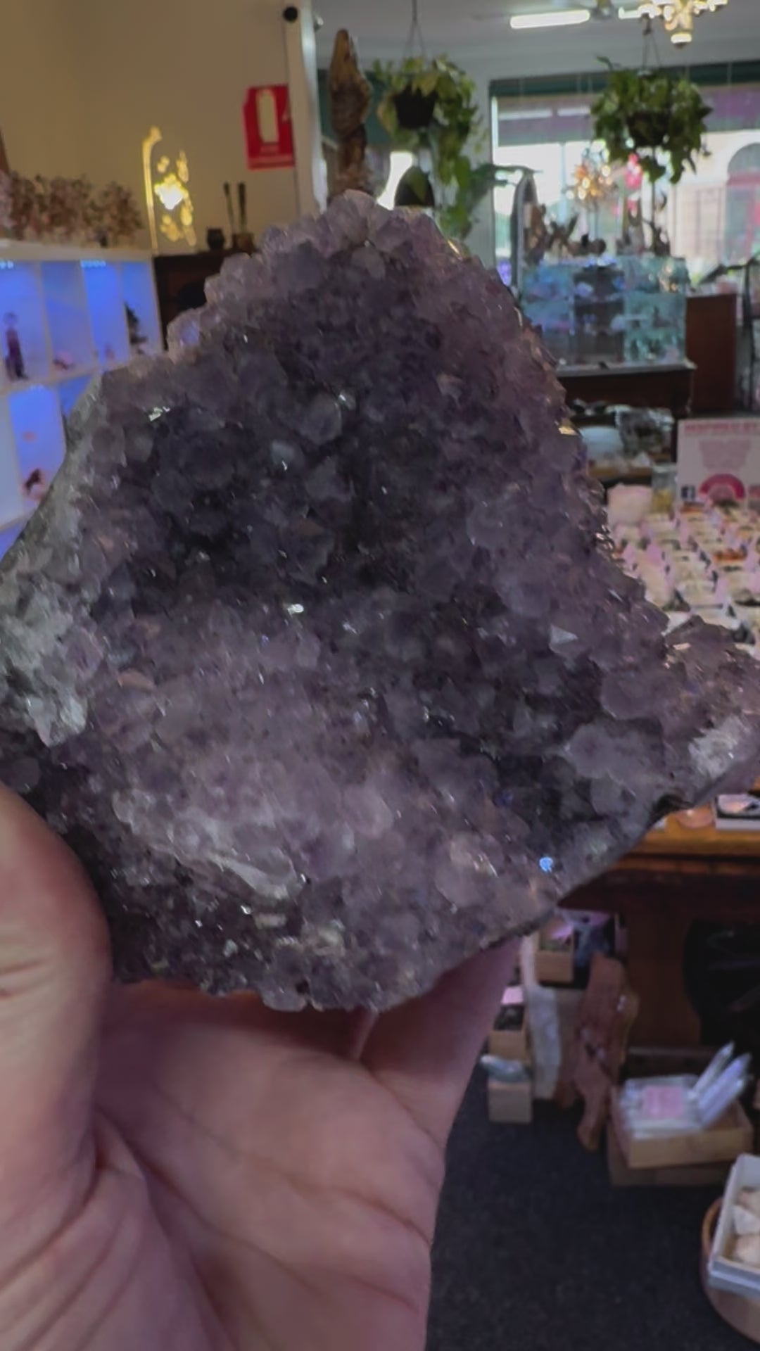 Amethyst Cluster 1.1kg #30 -  “I trust my intuition and allow it to guide me each day” (Copy) (Copy)