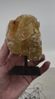 Honey Calcite on Stand - "I am ready to take immediate action to achieve my goals."