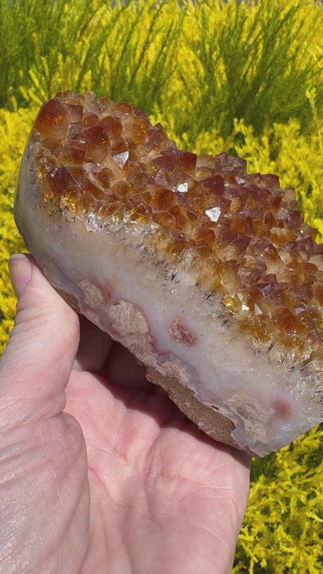 Citrine Cluster Heart 690g on Stand  -  “I am successful in all areas of life”.