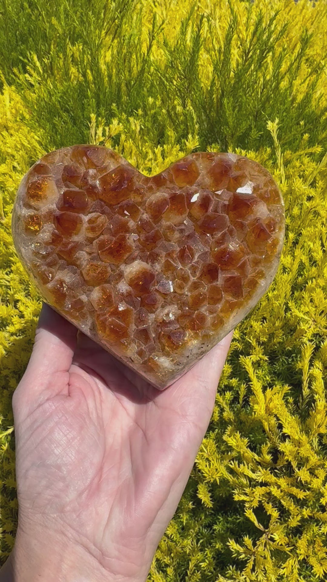 Citrine Heart Cluster  835g - Manifestation. Meditation