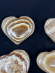 Aragonite Heart Banded - "I am deeply connected to the energy of Mother Earth."