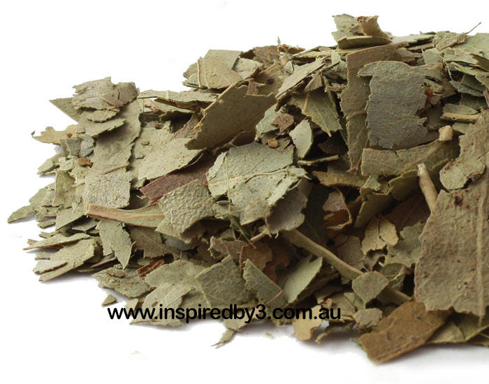 Eucalyptus Leaves 20g - Good Health.