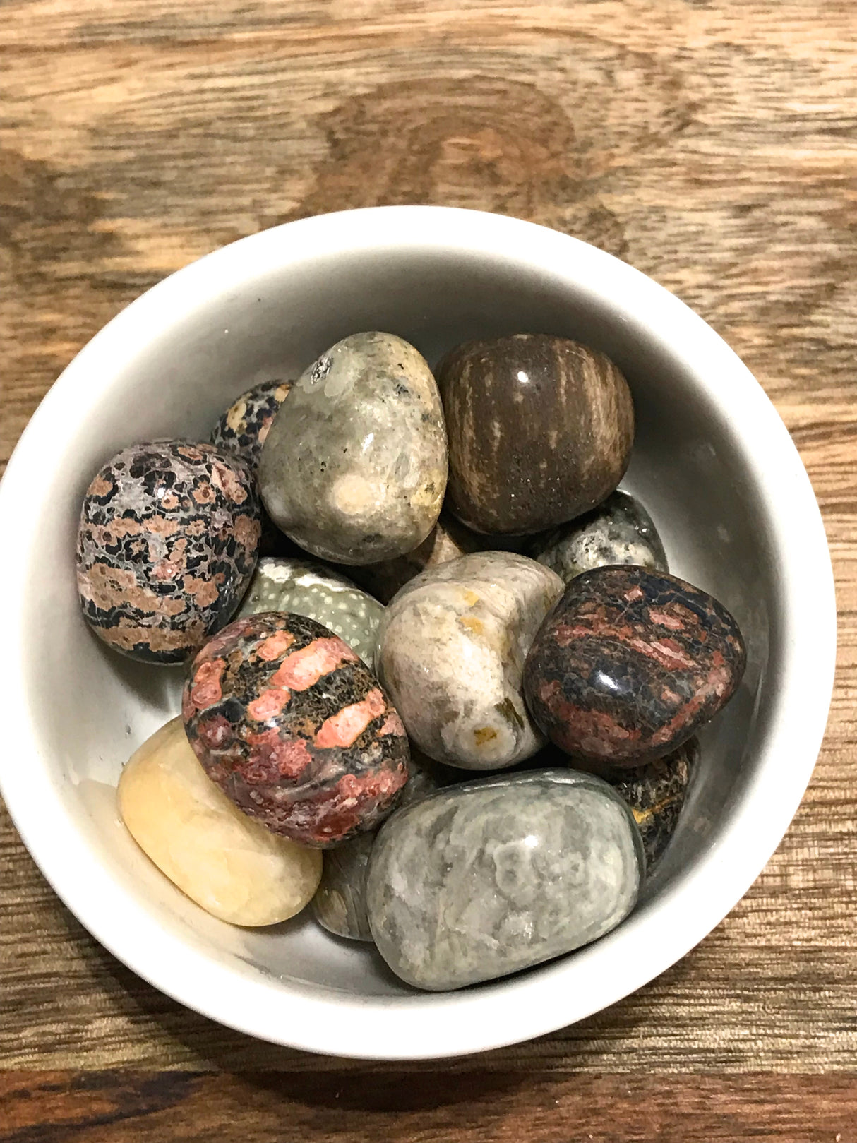 Jasper Ocean Tumbled (Orbicular Jasper)  - Enjoyment of Life. Stress Relief.